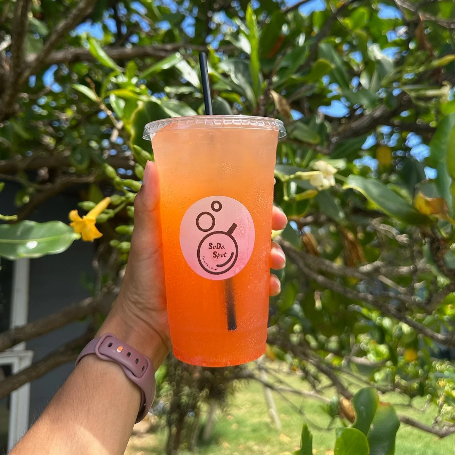 A bright SoDaSpot dirty soda with cream and fresh fruit, held up in the Maui greenery