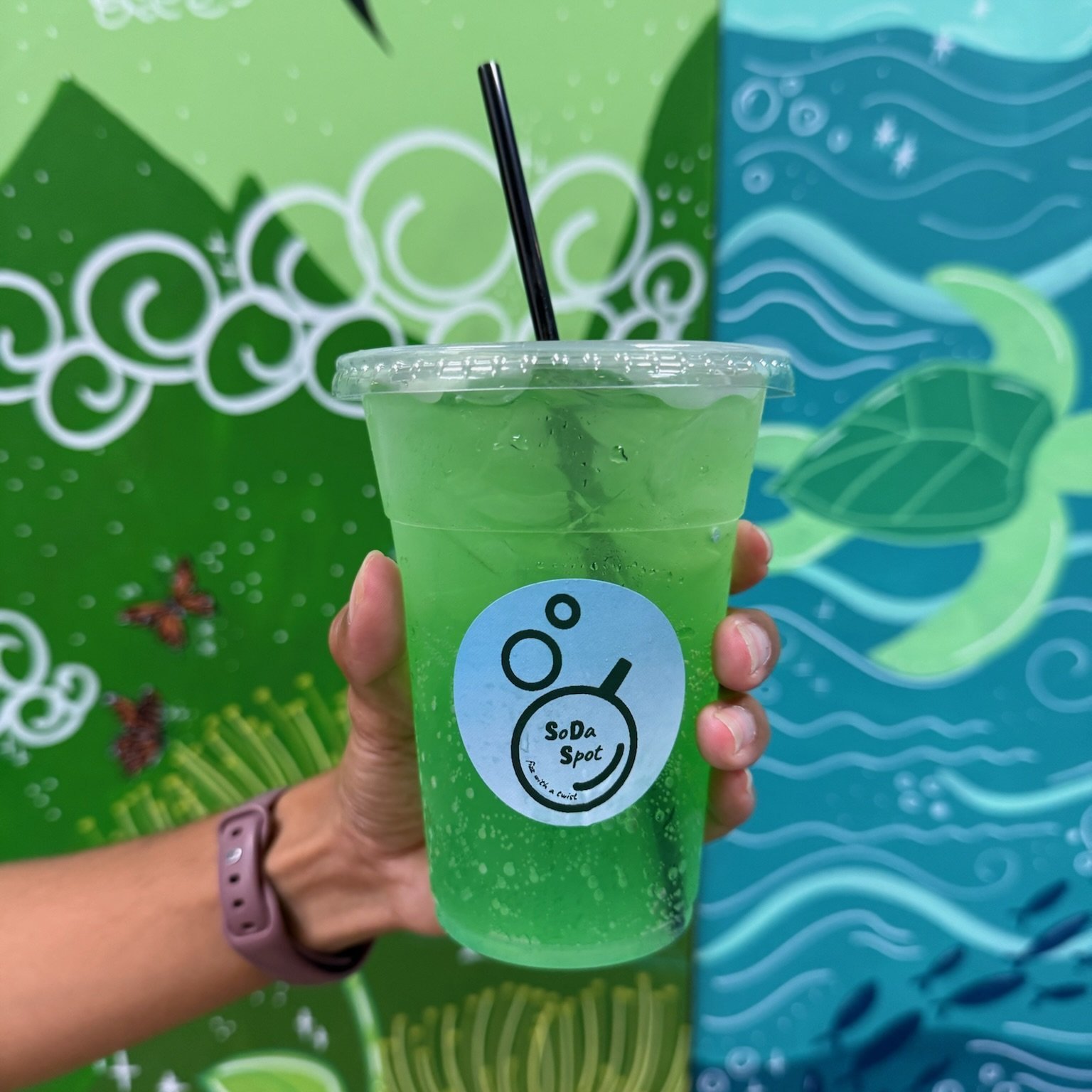 SoDaSpot branded cups on a vibrant backdrop